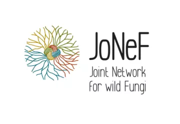 The JoNeF 2025 Questionnaire 